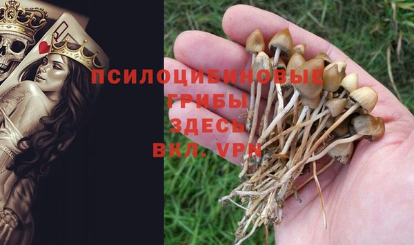скорость Иннополис