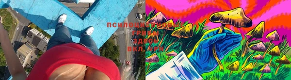 скорость Иннополис