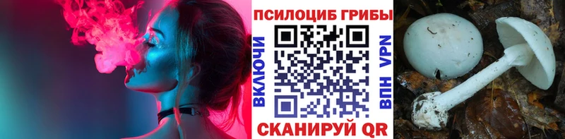 Купить где  Заречный  Псилоцибиновые грибы мухоморы 